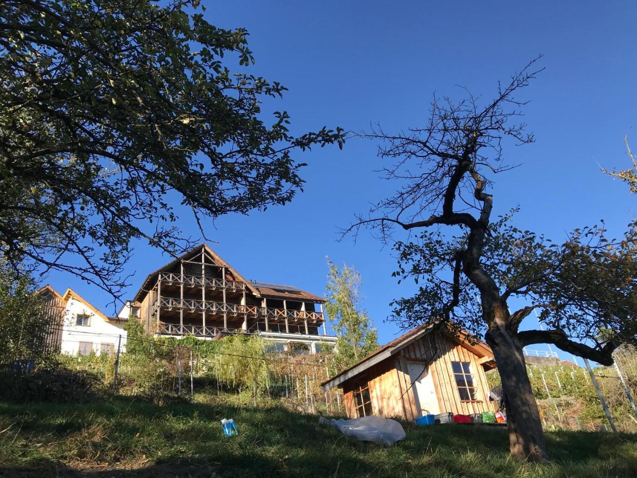 Bed and Breakfast Atelier 67 Obersaxen Zewnętrze zdjęcie